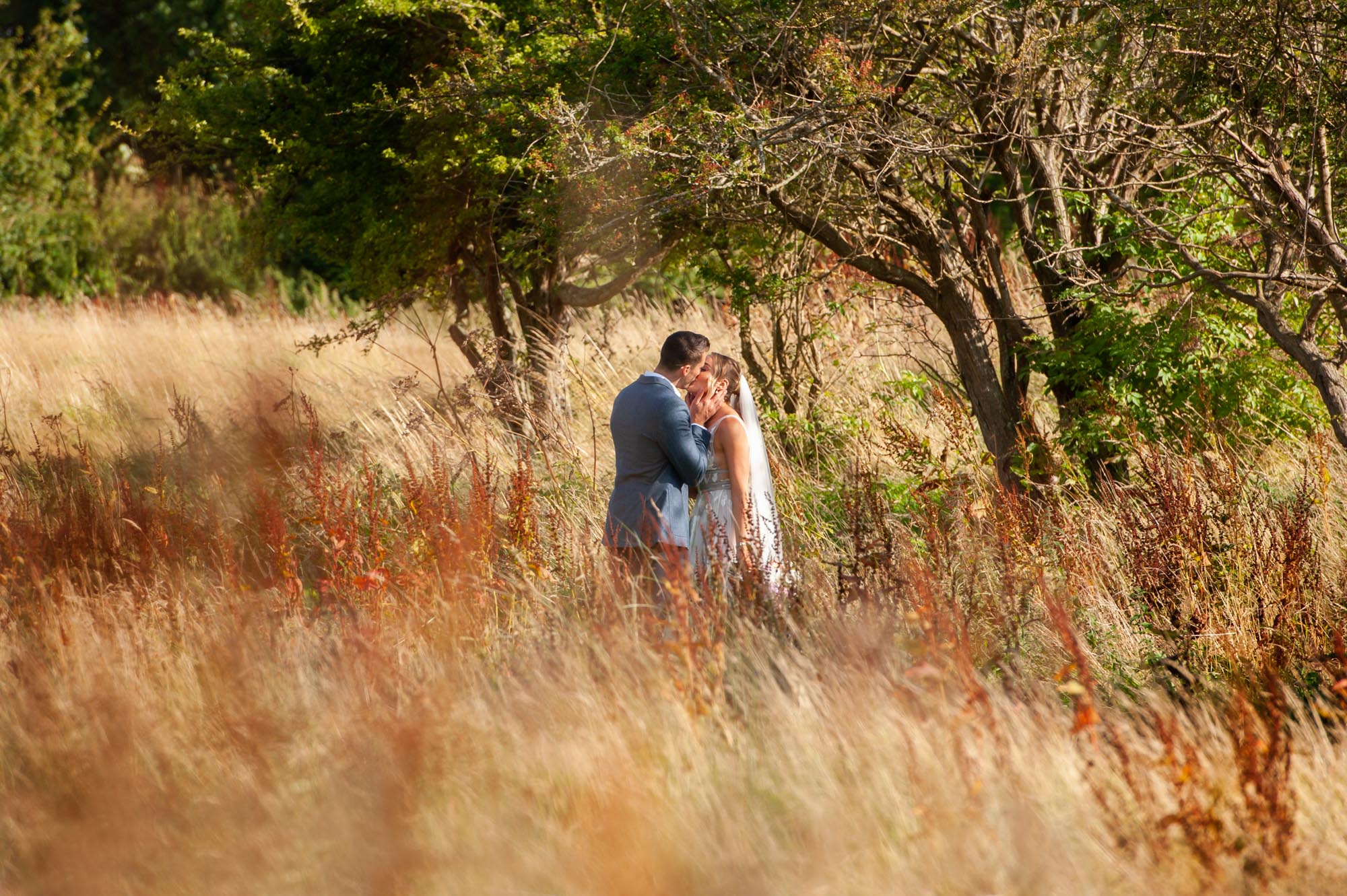 Bride and groom kissing in woodland.